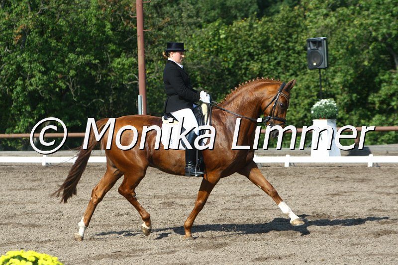 109M6137_Weyden_Nachwuchs_Dress S.JPG